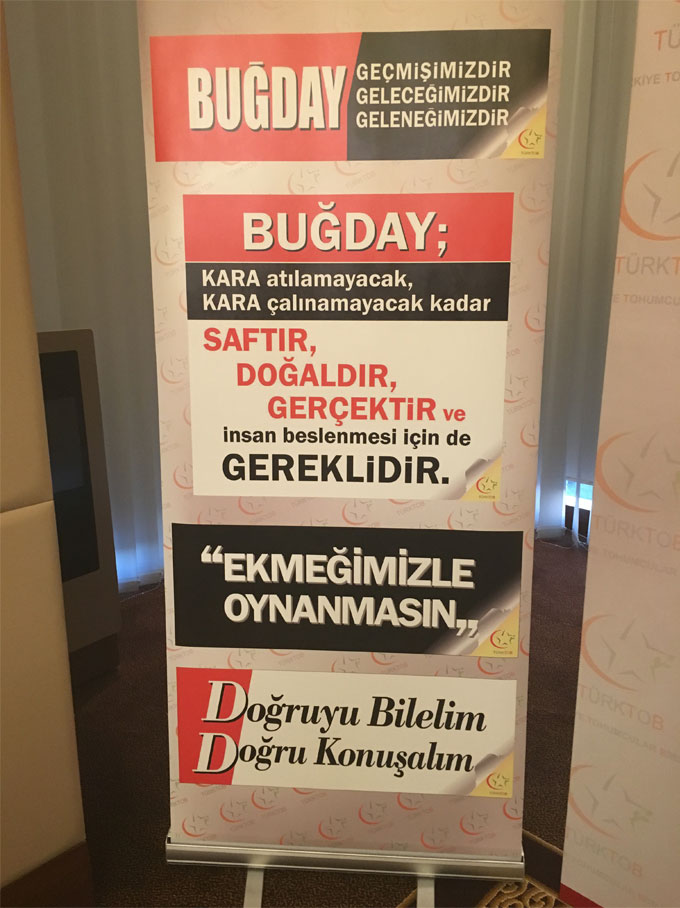 foto2.jpg